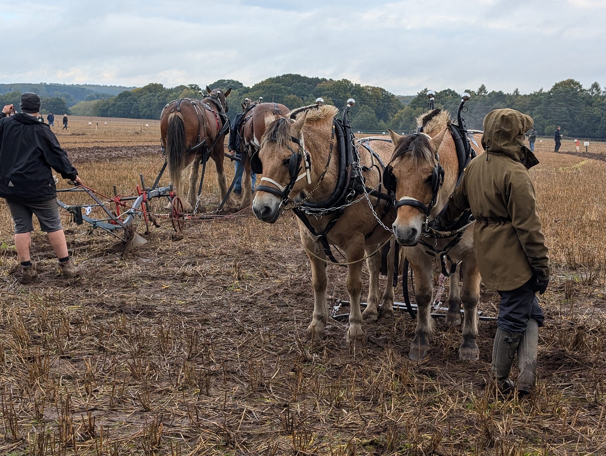National Ploughing Championships